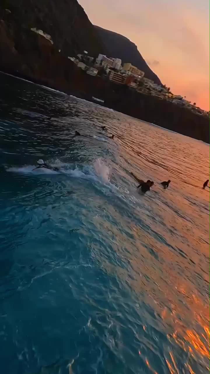 Memories of Tenerife😍

Con muchas ganas de volver a la isla🏝️❤️

Una de las mejores tomas FPV de surf que he grabado hasta ahora.
🏄‍♂️: @unknown 

#gopro #goproes #surfvibes #surfsunset #tenerife #canariaslifestyle #canarias #surfmagazine #surfmagic