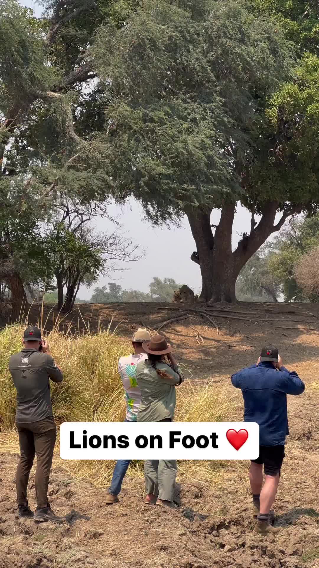 Mana Pools Safari Adventure in Zimbabwe