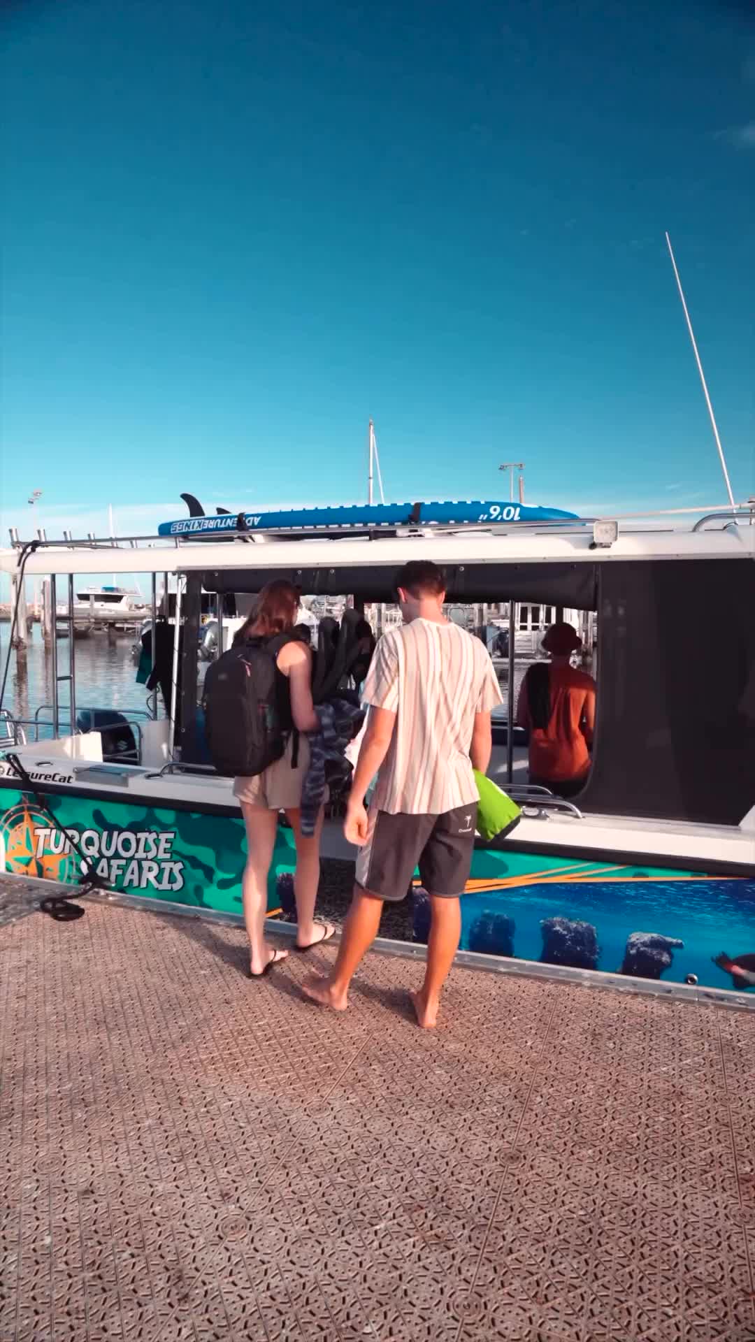 Swim with Sea Lions in Western Australia 🦭