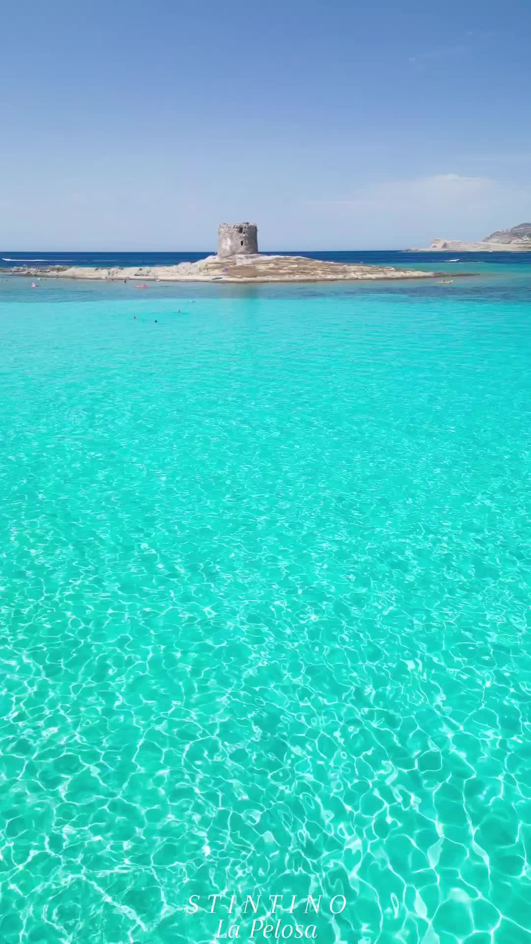 Discover La Pelosa Beach in Stintino, Sardinia