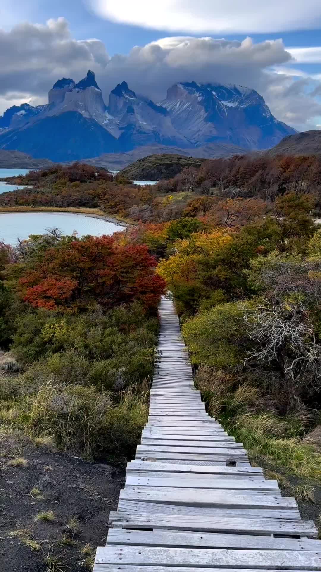 Torres del Paine: Discover Patagonia's Natural Beauty