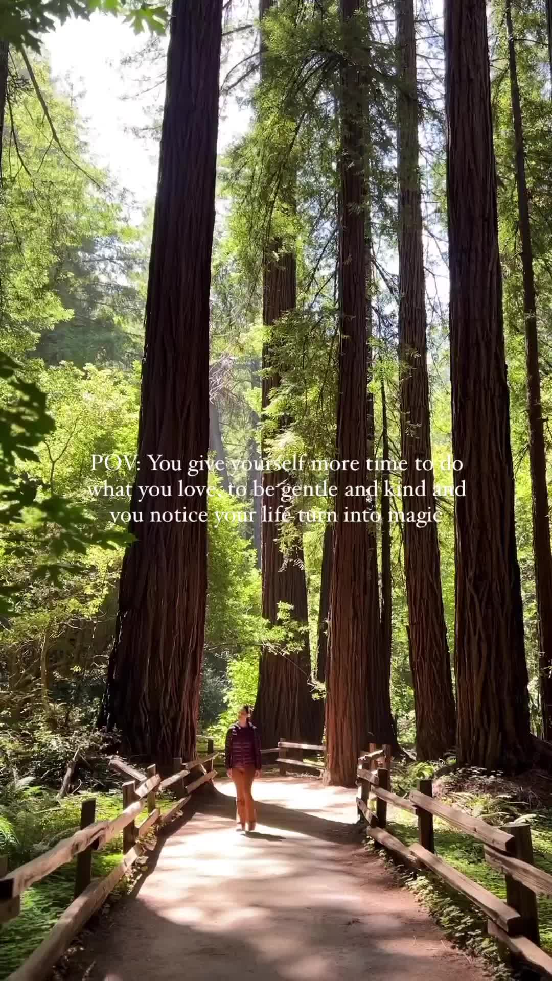 Prioritize Health & Embrace Life's Experiences | Muir Woods