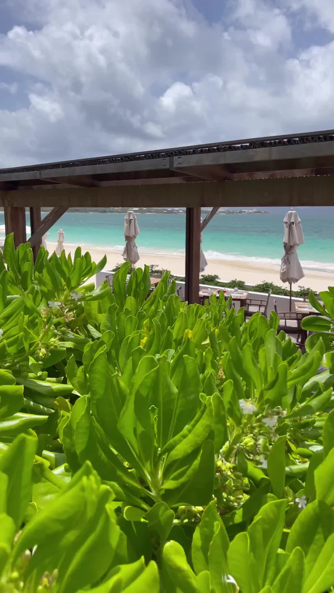 Delicious Caribbean Lunch at Aurora Anguilla