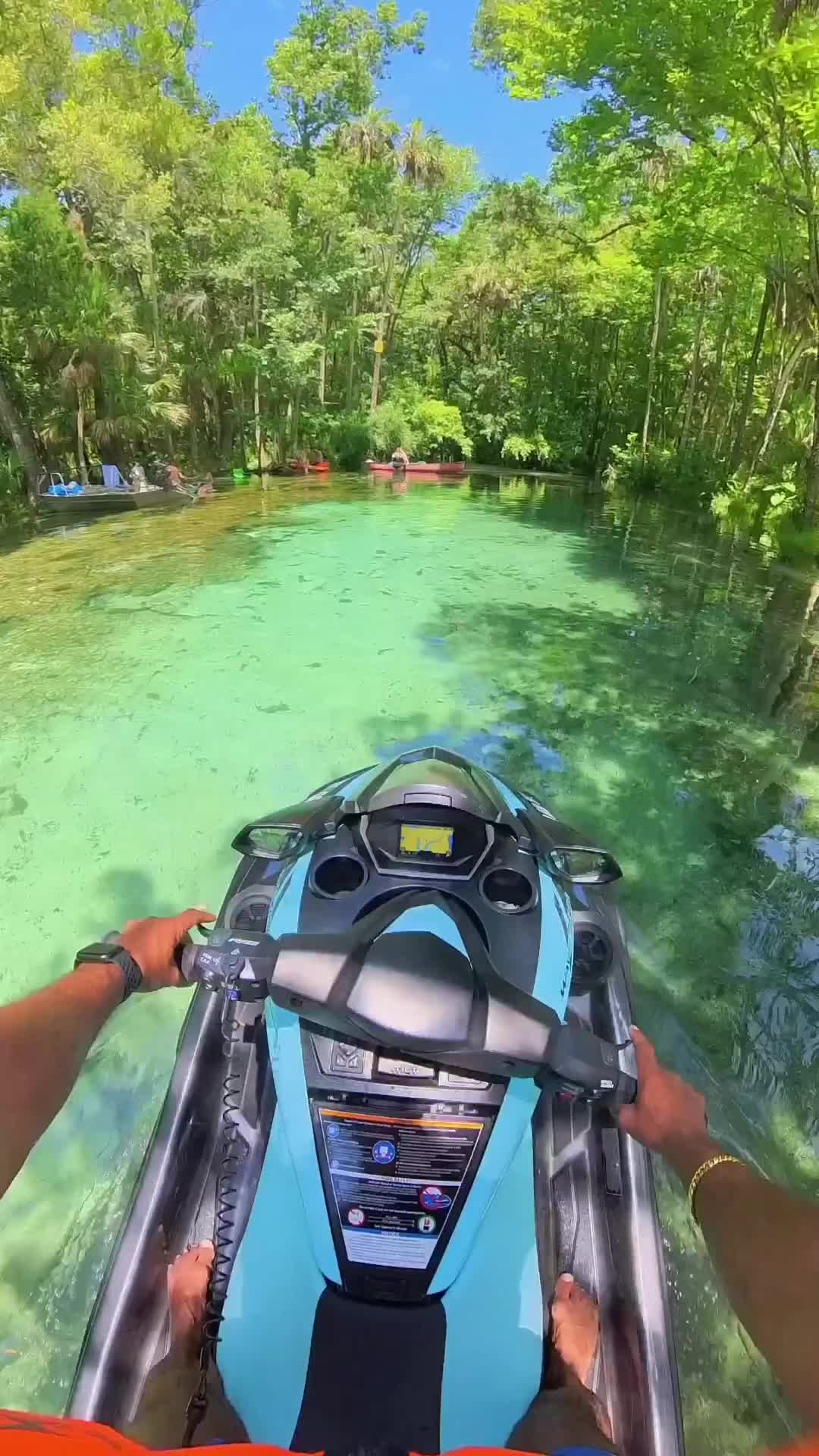 Dreamy Underwater Adventure at Florida's 7 Sister Spring