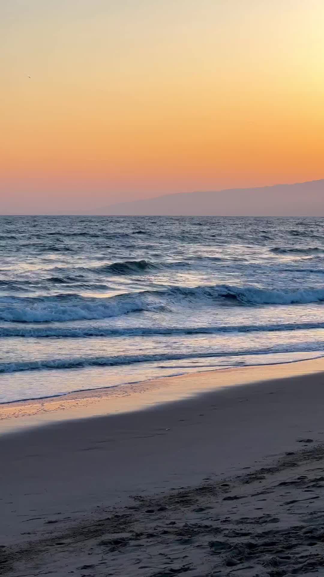 Stunning Sunsets in Santa Monica | California Beach Vibes
