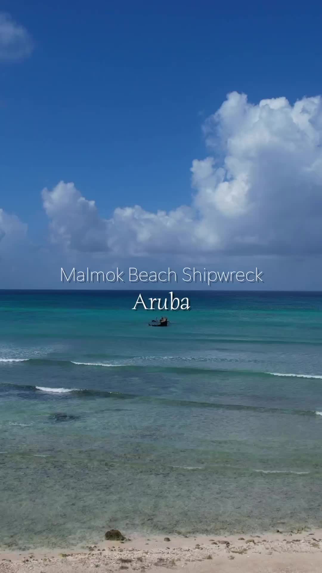 Shipwreck & Nesting Birds at Malmok Beach, Aruba