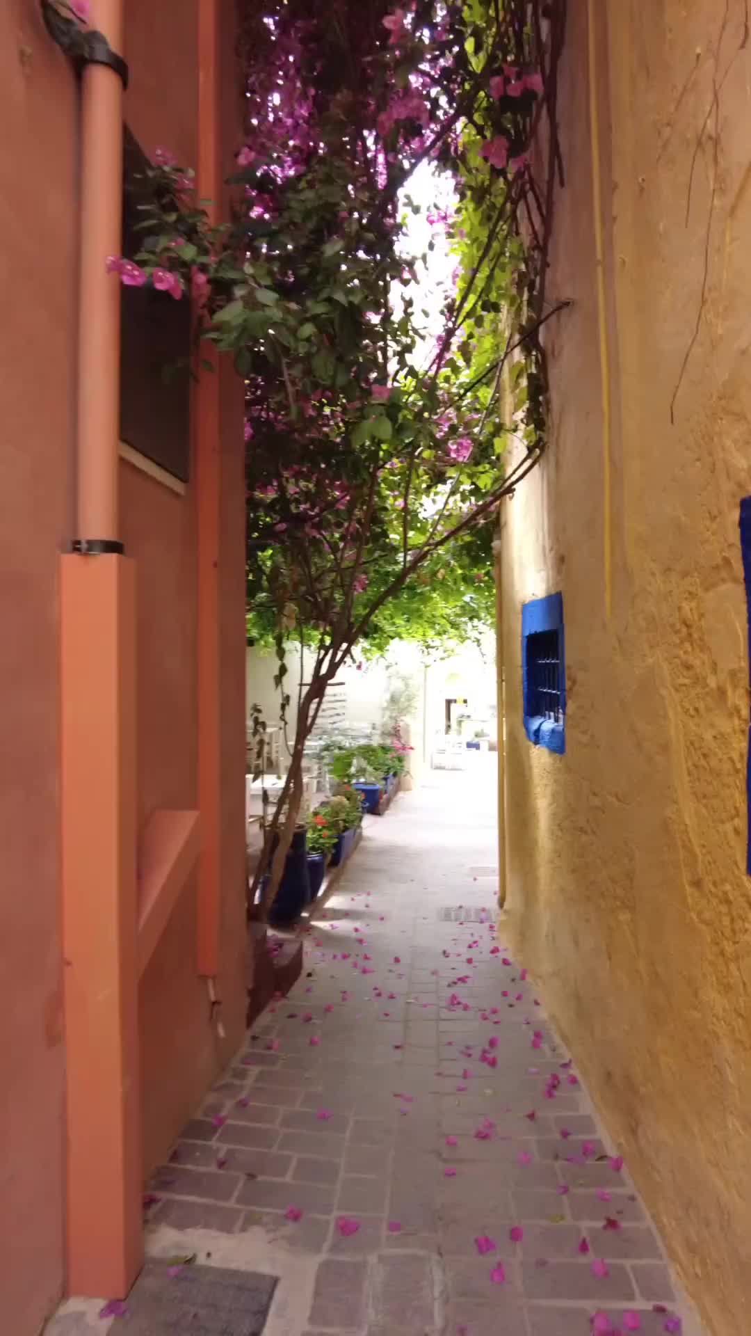 Location 📍 Chania old town

#chania #crete #greece #athensvoice #welcomegreece #mygreece #the_daily_traveller #perfect_greece #visitgreece #greece_perfection #artofvisuals #crete_stories #crete_app #crete_secrets #ilovecrete #discover_crete #igers_crete #instachania #colours_of_crete #expression_greece #exquisite_greece #urban_greece #loves_greece #tv_greece #alluring_greece #greece_captures #greece_travel 

@athensvoice @welcome.to.greece @my_greece__ @greece_perfection_ @perfect_greece @visitgreecegr @beautifuldestinations @greece_united @artofvisuals @explore.crete @bestplaces_greece @greece.explores