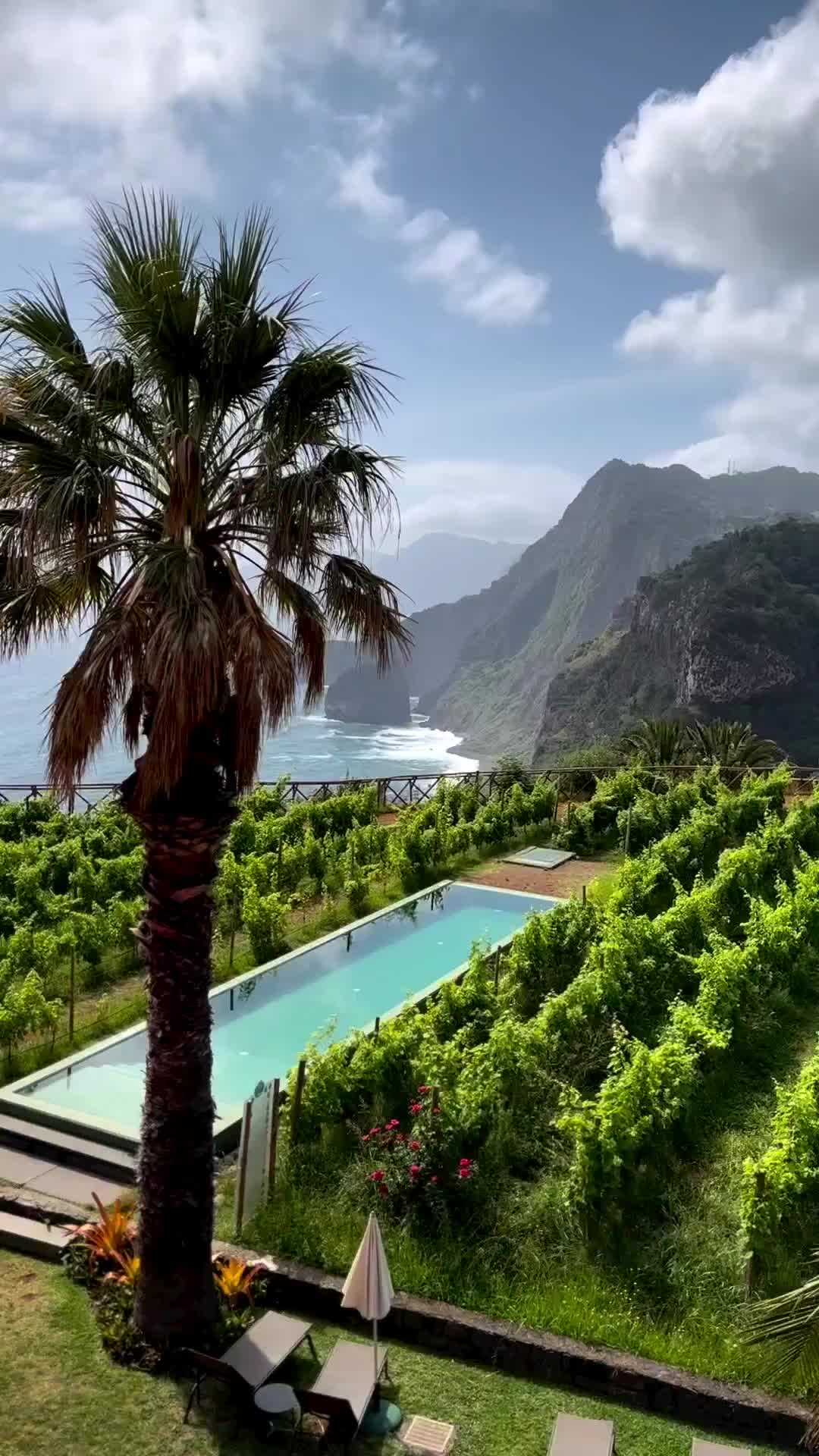 A piscina do hotel Quinta do Furão em Santana na ilha da Madeira fica inserida no vinhedo da propriedade a beira mar. Espetacular! 

@quintadofurao • @visitmadeira

#Hotel #Pool #Madeira