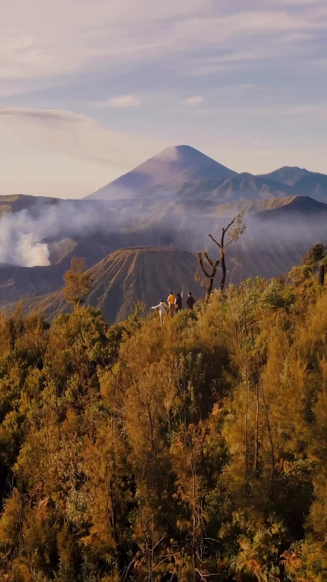 Explore Bromo National Park - East Java's Scenic Beauty