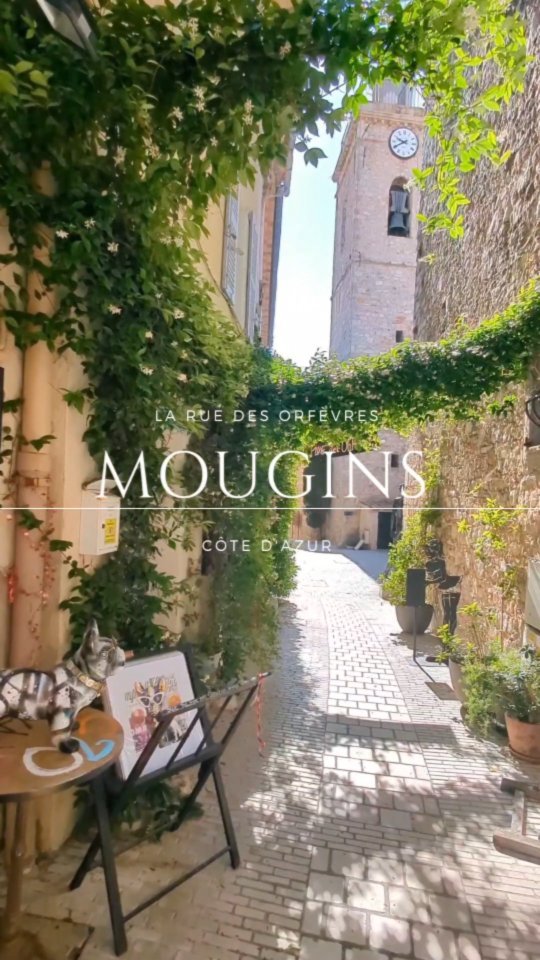 Art, Culture, and Gastronomy in Mougins and Beyond