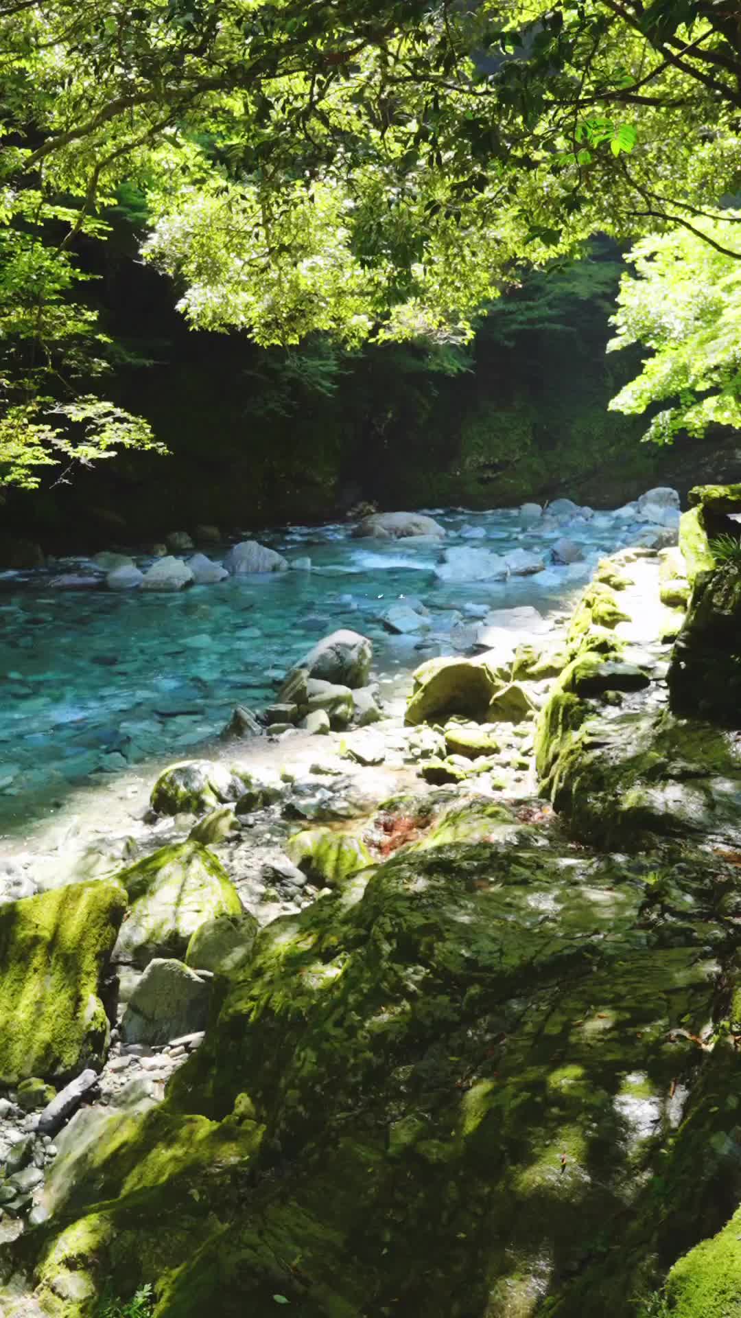 Discover the Stunning Niyodo Blue at Yasui Valley