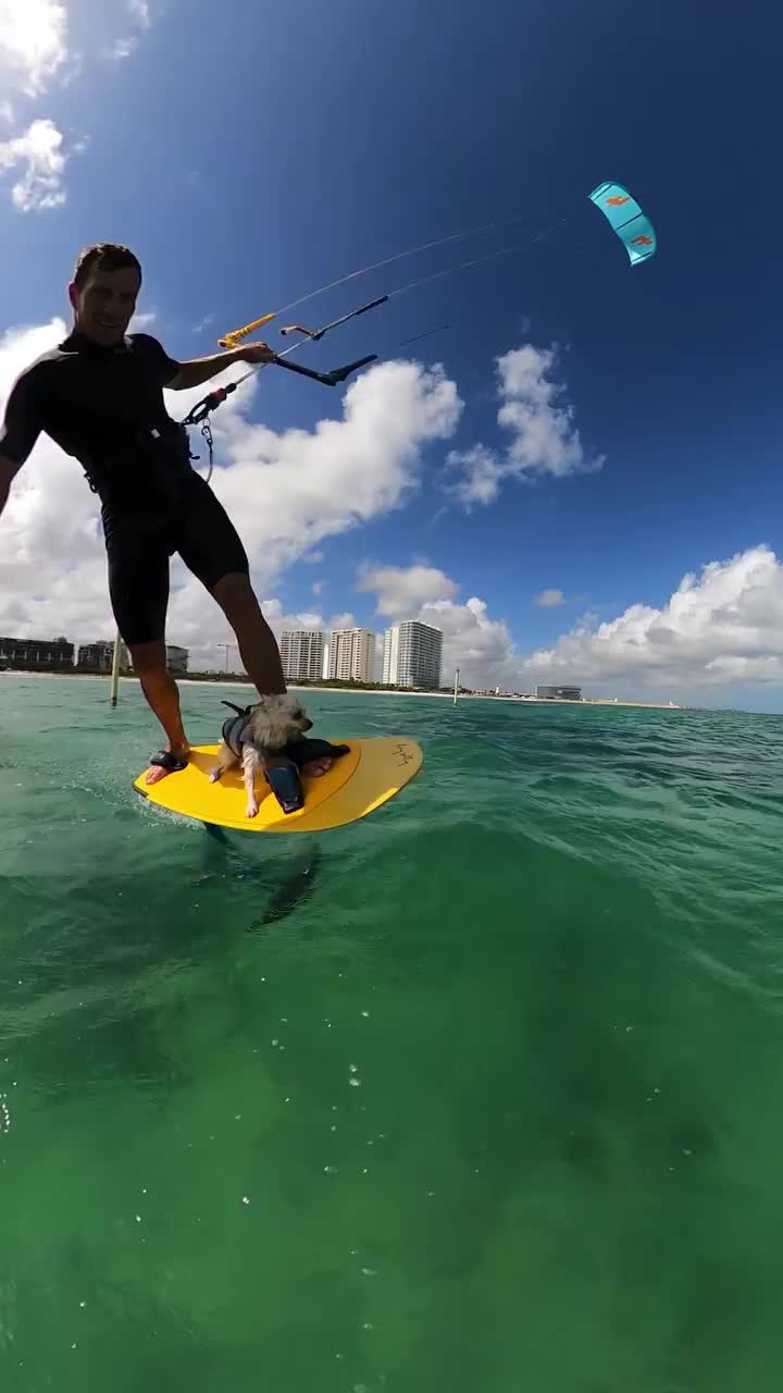 Surfing Adventure in Cancun with a Canine Companion