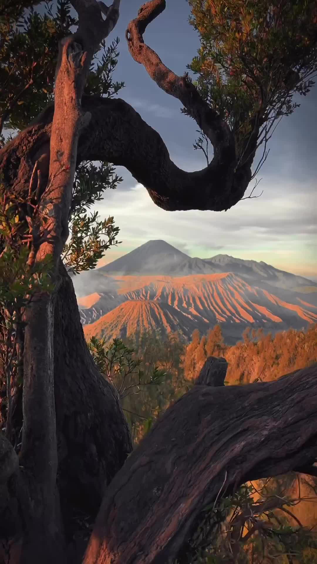 Explore Bromo Volcano: Join Our Indonesia Photo Workshop