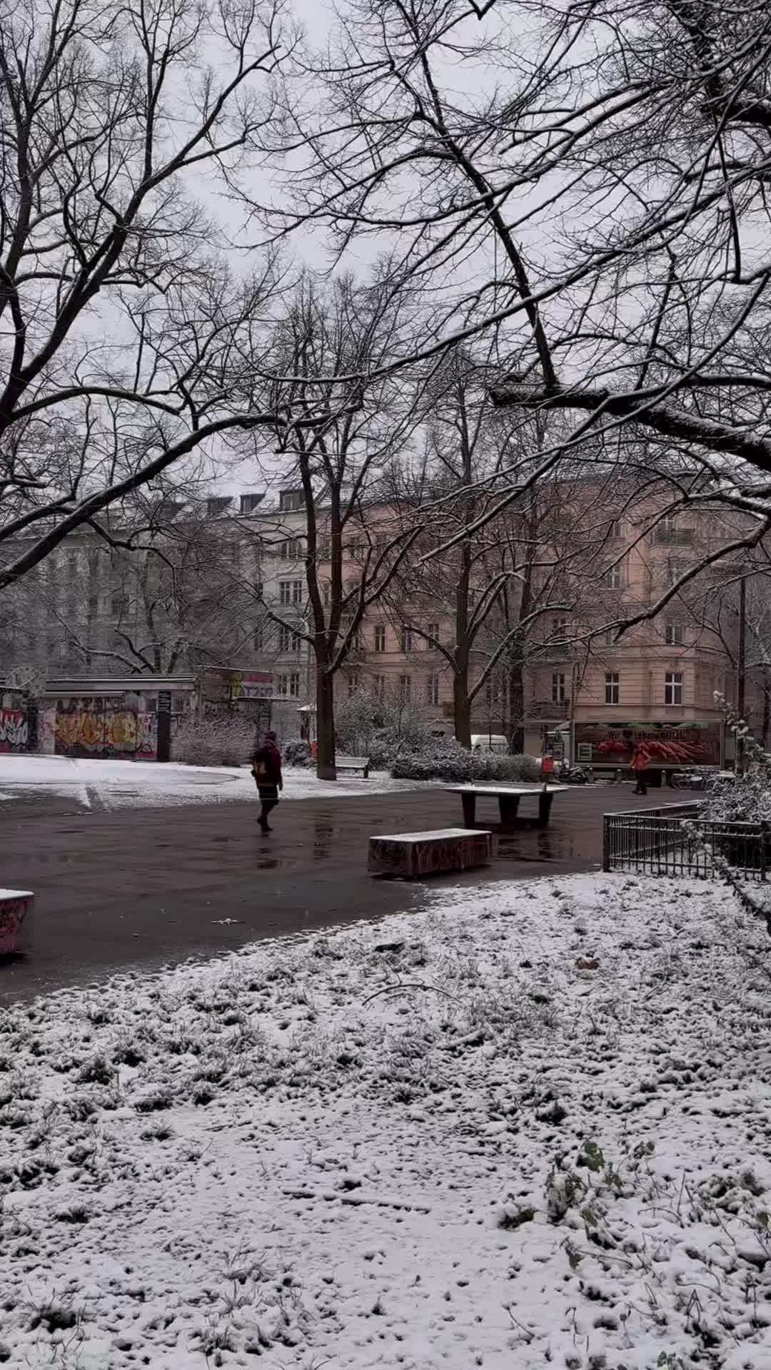 First Snowfall in Berlin - Embrace the Winter Magic