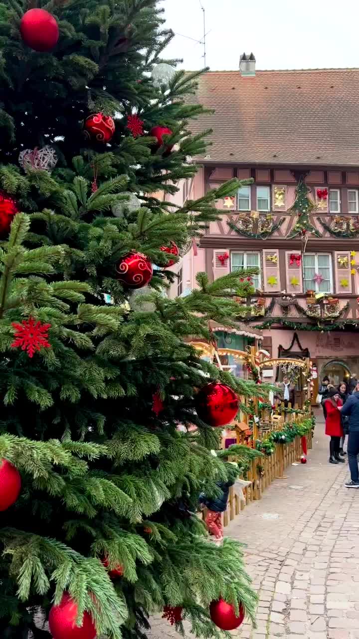 Discover Christmas Magic on Grand Rue in Colmar, France