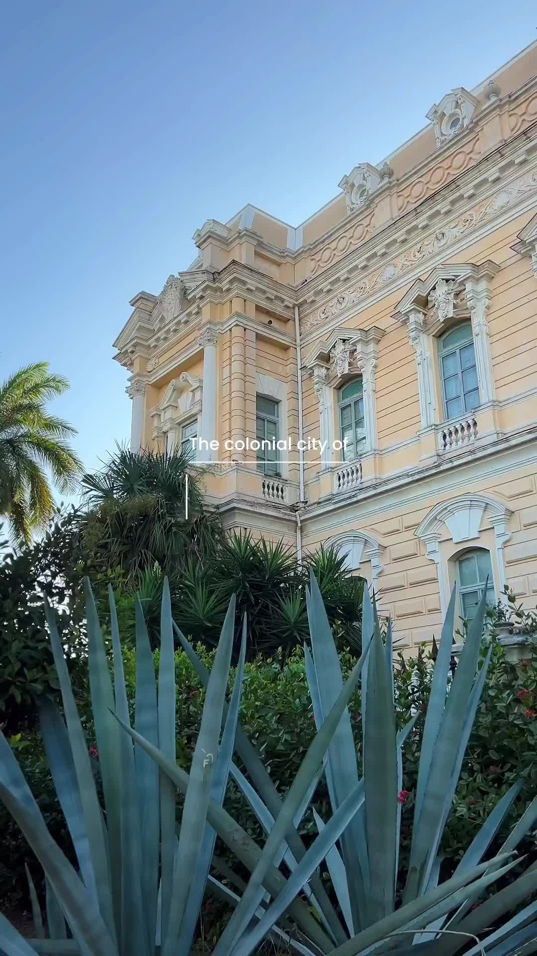 Mindful moments exploring Merida ✨ 

📌 Save for slower travels in Mexico 🇲🇽

Even though Merida has not been my favourite city in Mexico, our time there was spent mindfully and very present. 

A few things you can do here for more slower and present times:

 ✨ Find the best Cochinita Pibil tacos and tortas spot to eat 
✨  Get your favourite drink at a local café 
 ✨ Take your time exploring a colonial mansion and its history 
 ✨ Ride a bike on Sundays when Paseo Montejo closes part of its street 
 ✨ Have a conversation with a local, they are the friendliest 
 ✨ Self care moments at your accommodation when it’s hottest outside
✨ Eat a marquesita in a street food stall, rolled crepe filled with your choice of jam, chocolate or cheese

Have you ever been to Merida? I’d love to know your thoughts! 🇲🇽

If you’re new here, I’m Champi, a Mexican travel and lifestyle creator, follow @champitravels for all about Mexico and mindful travel and living. 💛

#mindfultravel #méxicotravel #slowtravelling #slowtravelstories #meridayucatan #mymexico #mindfulliving #mindfullife #mindfulmoments #mexicolife