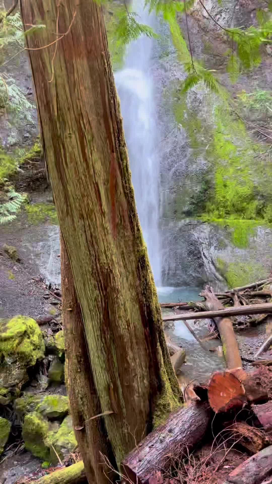 Best Waterfall Hikes in Olympic National Park