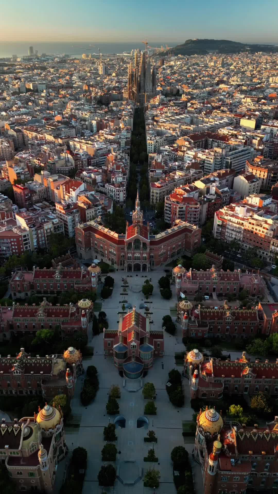 Discover the Iconic Sagrada Familia in Barcelona