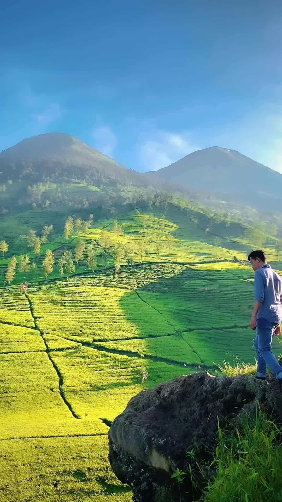 Tomorrow will be better ✨

📍Gunung Cilik, Wonosobo

#gunungcilik #wonosobo #jawatengah #mountains #nature #alone