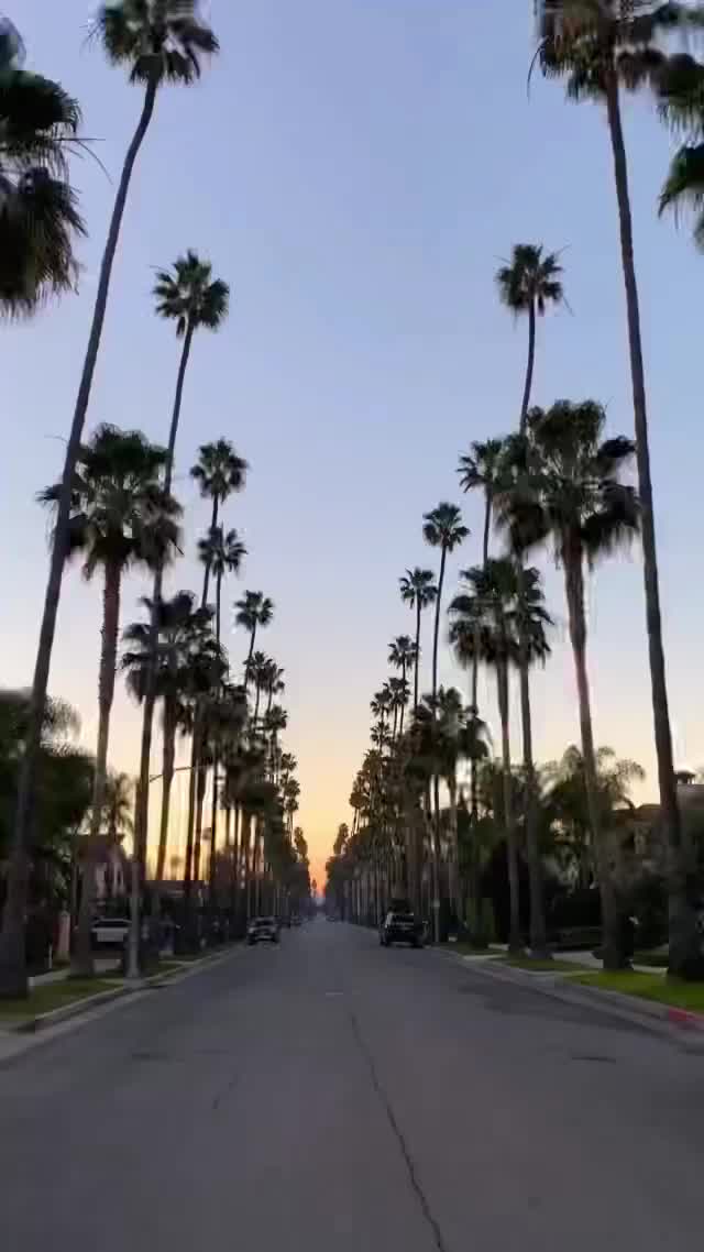 Love California? Explore Los Angeles at Sunset! 🌴