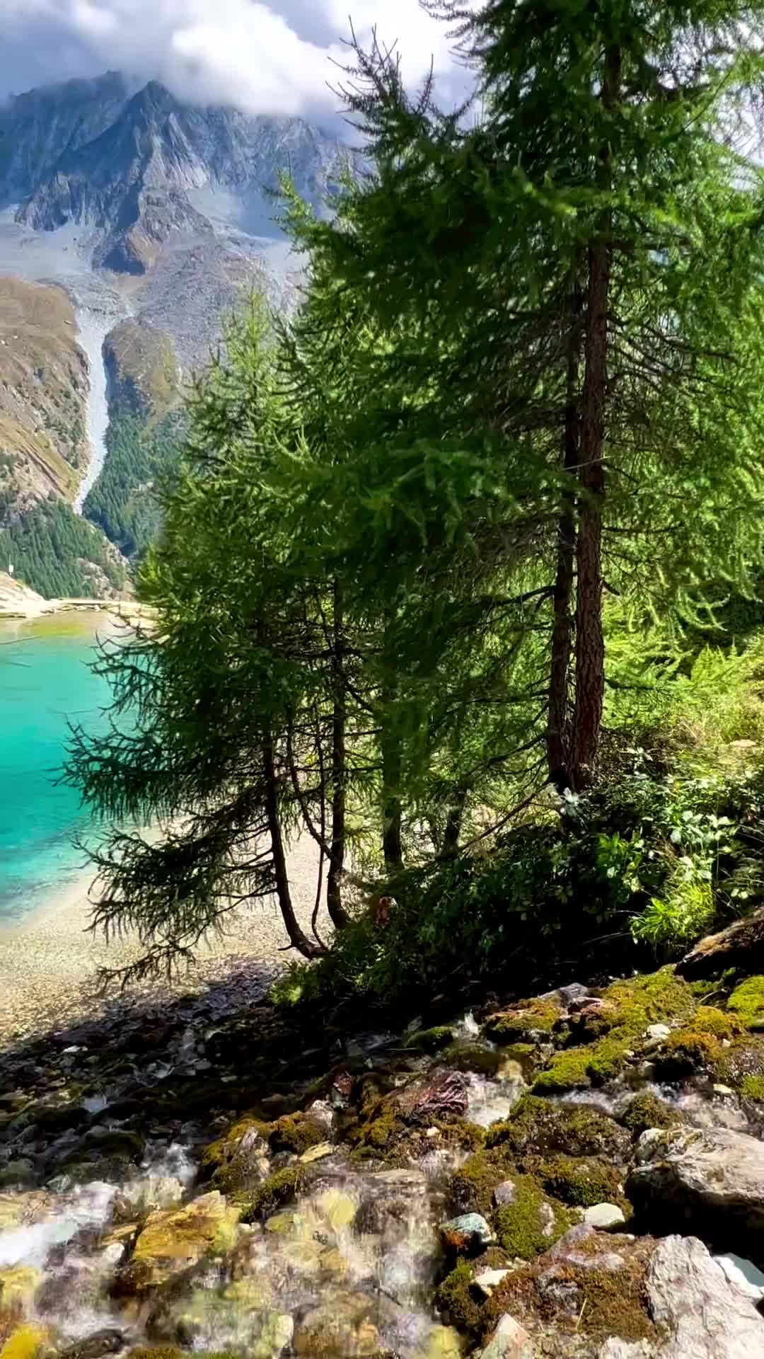 Tranquil Summer Day in Valais Wallis, Switzerland