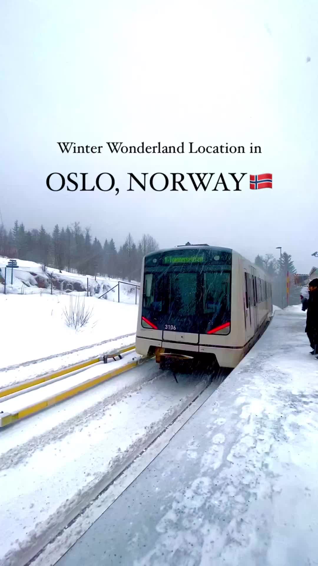 Winter Wonderland in Oslo: Easy 30-Min Train Ride