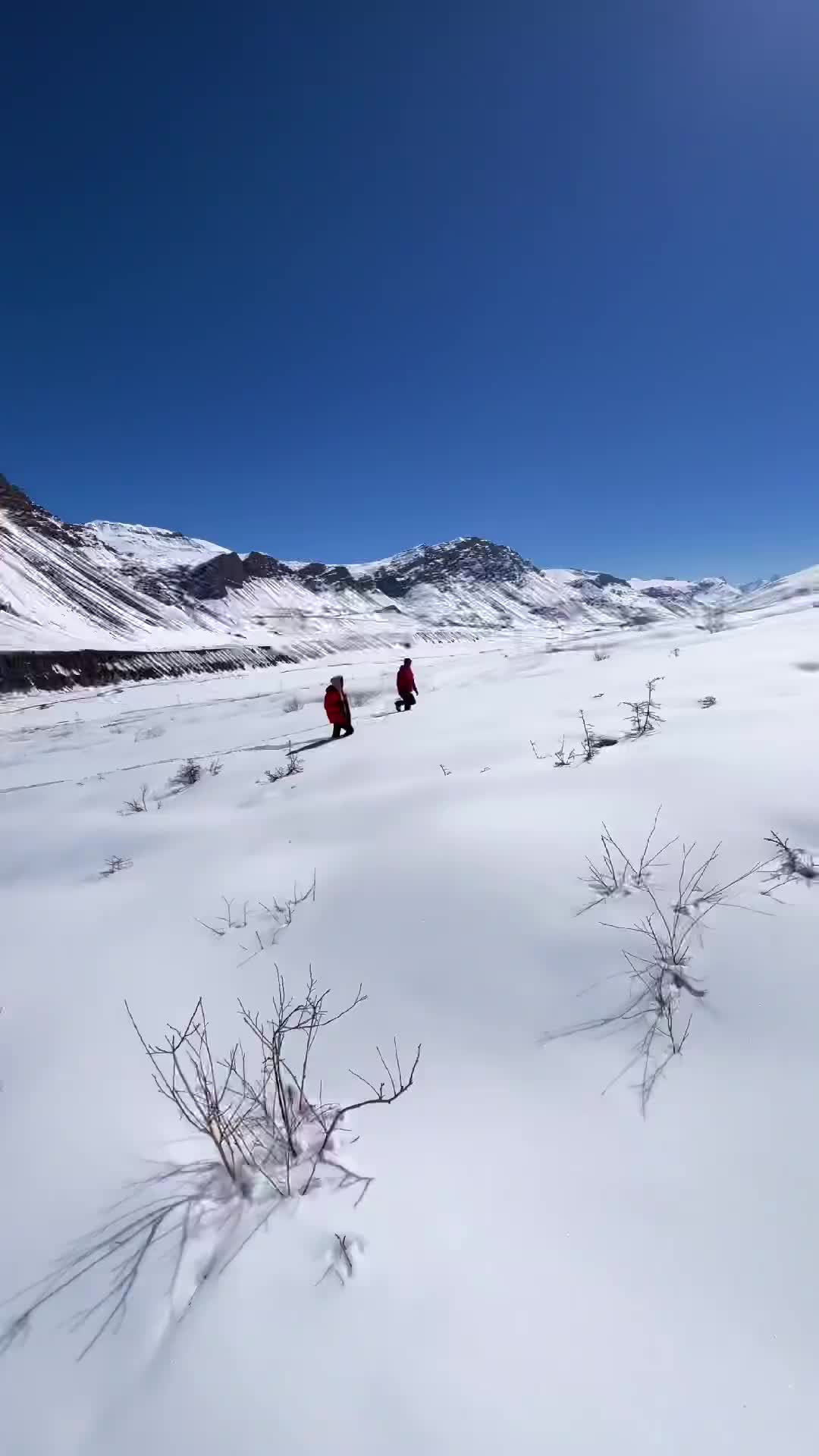 Climb the Snowy Peaks of Spiti Valley! 🏔️❄️