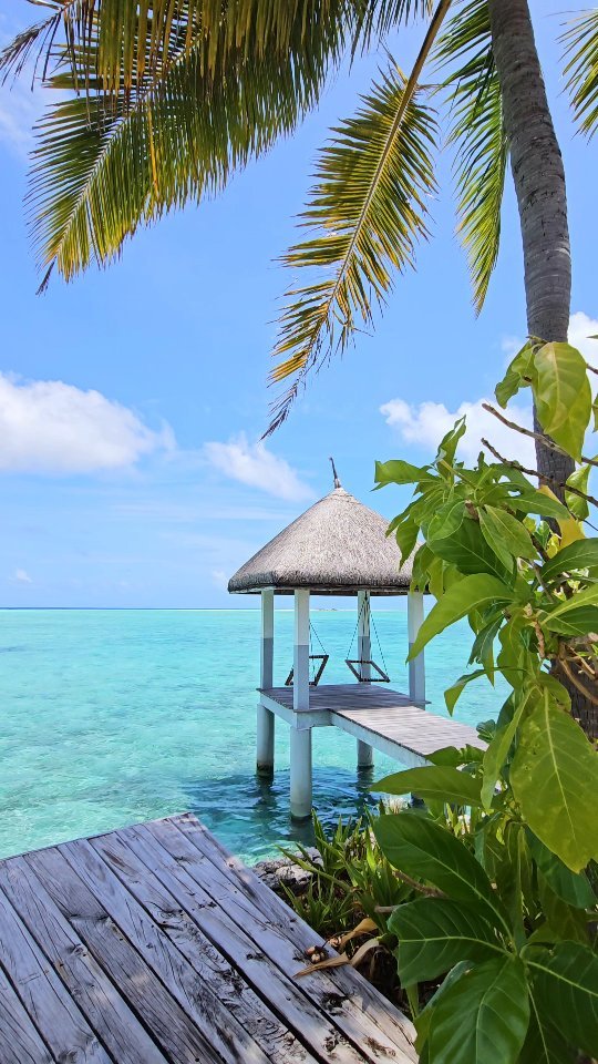 When you arrive in a place that doesn't even look real 🤩🏝️

📍 @fsmaldives at Landaa Giraavaru

-

Follow us ❤️ @toptravelplaces_ for more 👍

-

📸 Video taken by @toptravelplaces_

-

#maldives #travel #traveldestination #fsmaldives maldivesislands #luxurytravel #honeymoondestination  #beachholiday #overwaterbungalow #beachvibes #luxuryresorts