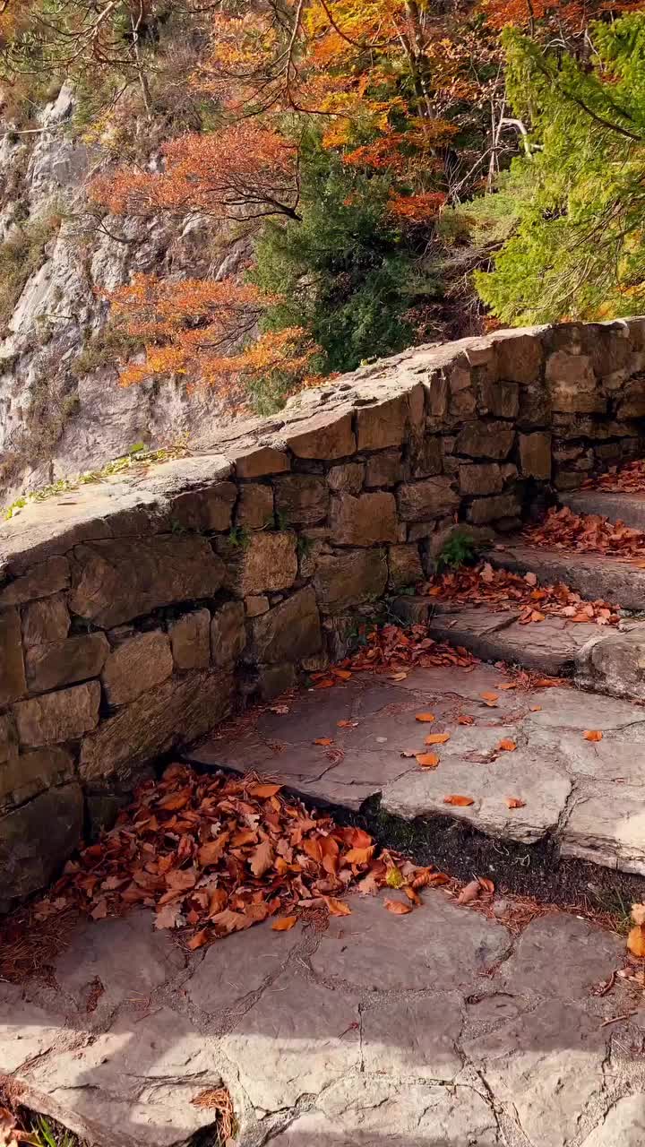 Most Beautiful Scenic Road in Beatenberg, Switzerland