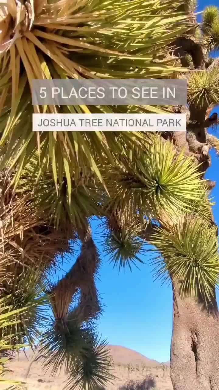 Top 5 Must-See Spots at Joshua Tree National Park