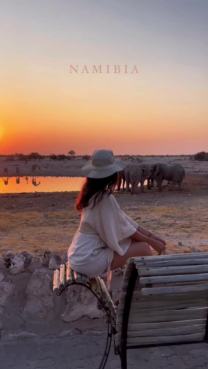 TOP TIPS FOR SELF-DRIVE SAFARI IN ETOSHA 🐘 PART 2 🔖

• Go during the dry season when most of the animals are gathering by the waterholes which gives you the unique opportunity to witness incredible moments, moments that will take your breath away. September and October are the best months for game viewing 💦🦒

• Best time of the day for observing wildlife and having the biggest probability to spot big kitties in action is in the morning - the earlier the better. Thanks to the cooler temperatures, lions, cheetahs and leopards are still awake, hunting or eating their prey of last night’s chase 🐆🦁

• Learn more about the warning signs in animal behaviour. The most dangerous wildlife encounter that could damage your vehicle and yourself are elephants and the rhinos. Don’t freak out though - this is a very rare occurence, but it might happen if you get into their comfort zone 🐘🦏🦛

• Needless to say, keep a safe distance from the animals; turn off the engine while watching and taking pictures of them; do not feed them. 

• Safari dress code: dress in layers - remember the mornings and evenings are chilly, but the days are hot. Don’t forget to wear the shades of the African bush - earthy tones such as browns, khaki, and greens 🥾🕶️👒

✨ Follow @izabel.philippa for more wanderlust inspo, travel tips and beautiful hotels ✨

📍Etosha National Park, Namibia 🇳🇦
🚗 @advancedcarhire 

•
•
•

#etosha #etoshanationalpark #wildlifeonearth #safariphotography #safari #safarilife #selfdrivesafari #gamedrive #gameviewing #namibia #namibiatravel #namibiaroadtrip #travelnamibia #namibiaphotography #namibie #africa #naturephotography #travelphotography #beautifuldestinations #bucketlisters #bucketlistadventures #bucketlisttravel #mustdotravels #earthpix #natgeowild #earthfocus
