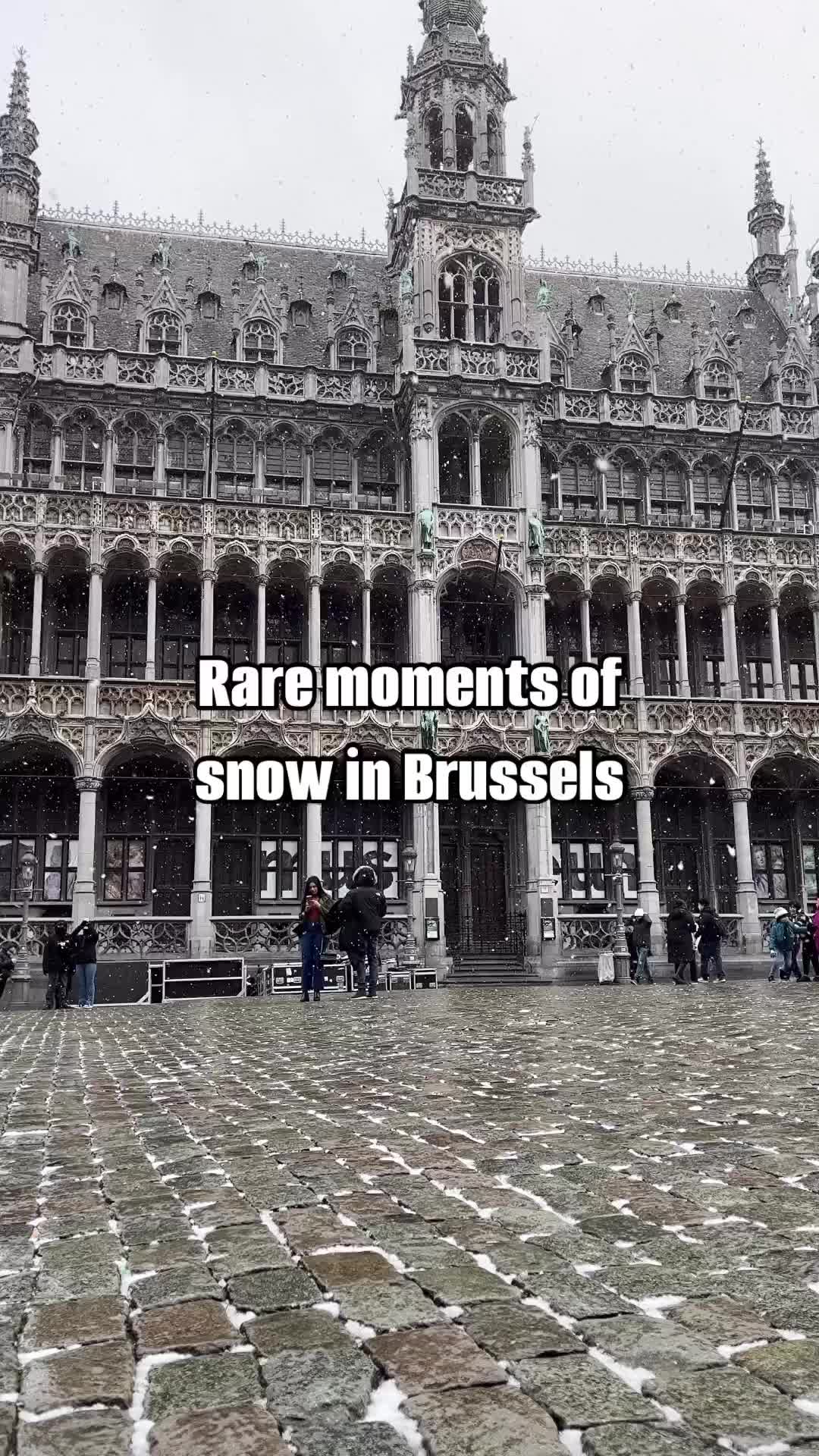 Rare Snowfall at Brussels' Grand-Place ❄️
