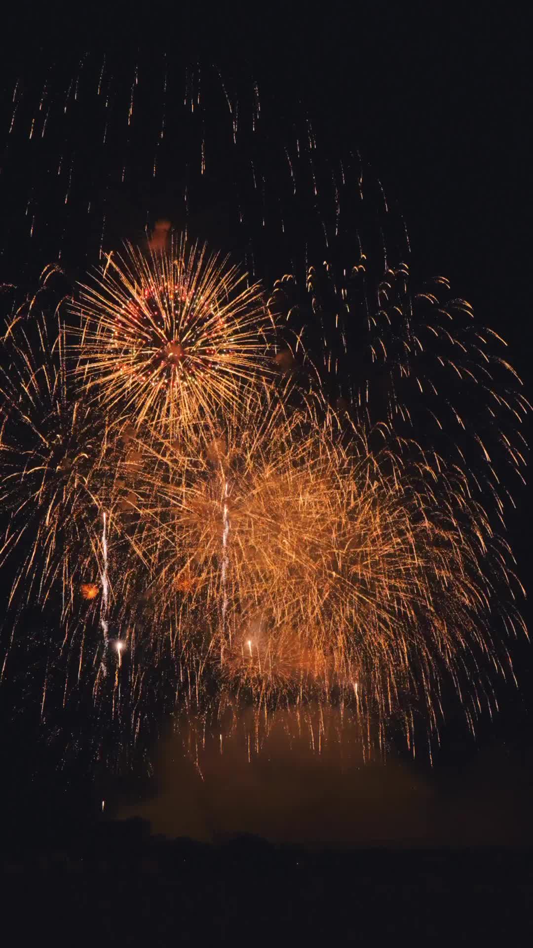 Grand Finale of the 2nd Nishi-Awa Fireworks