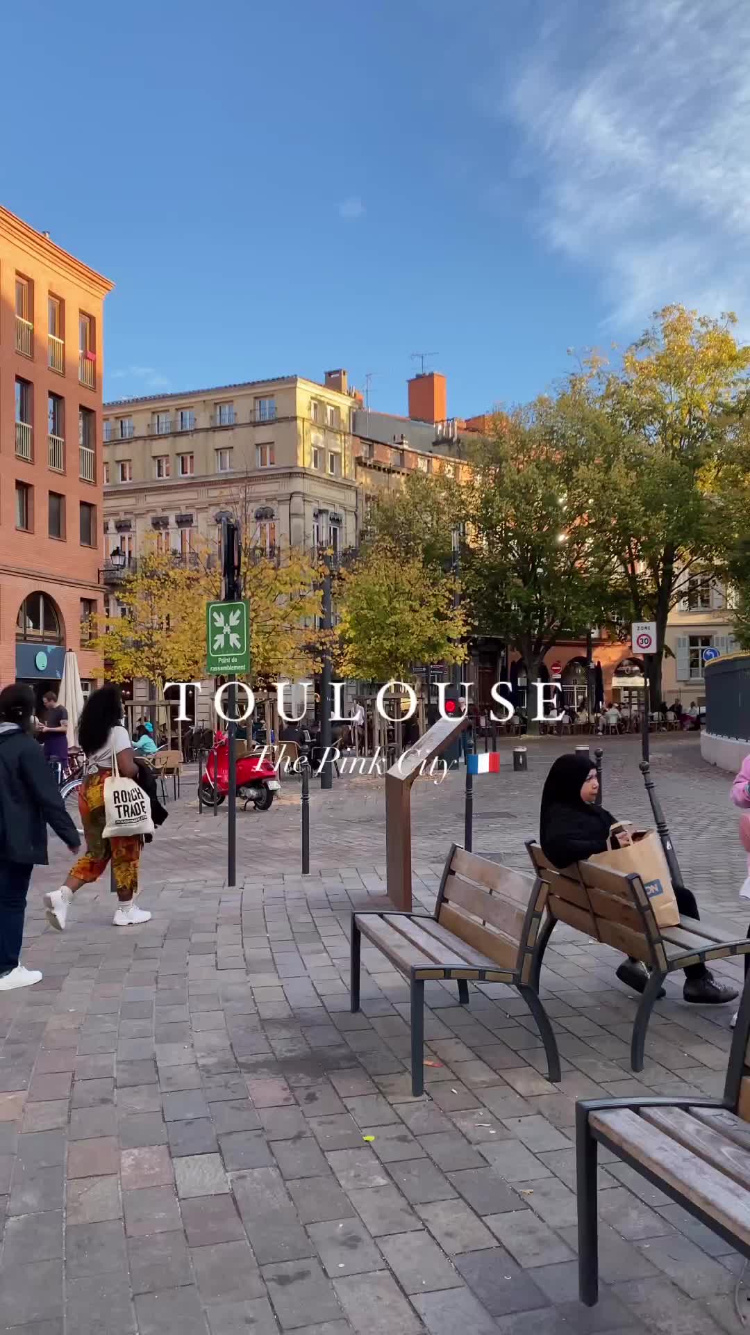 Discover the Charm of Toulouse - The Pink City