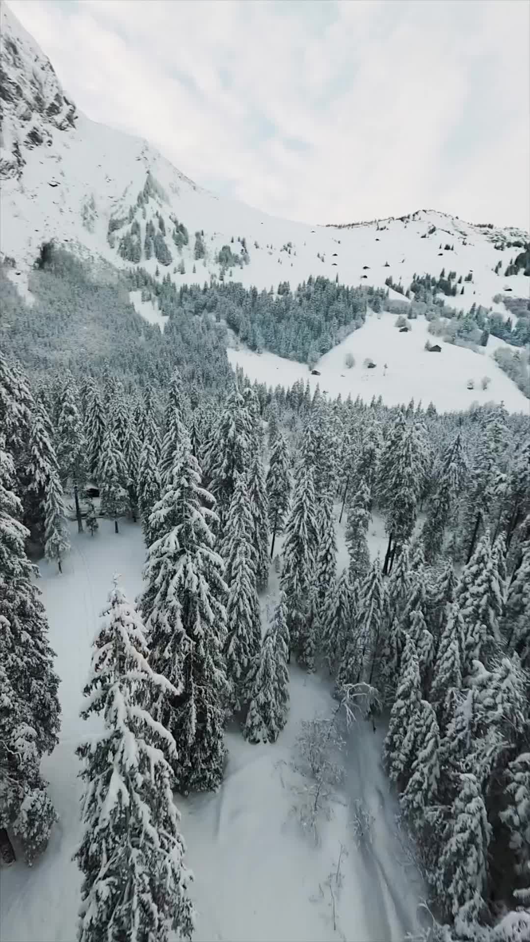 Winter Wonderland Walk in Adelboden, Switzerland