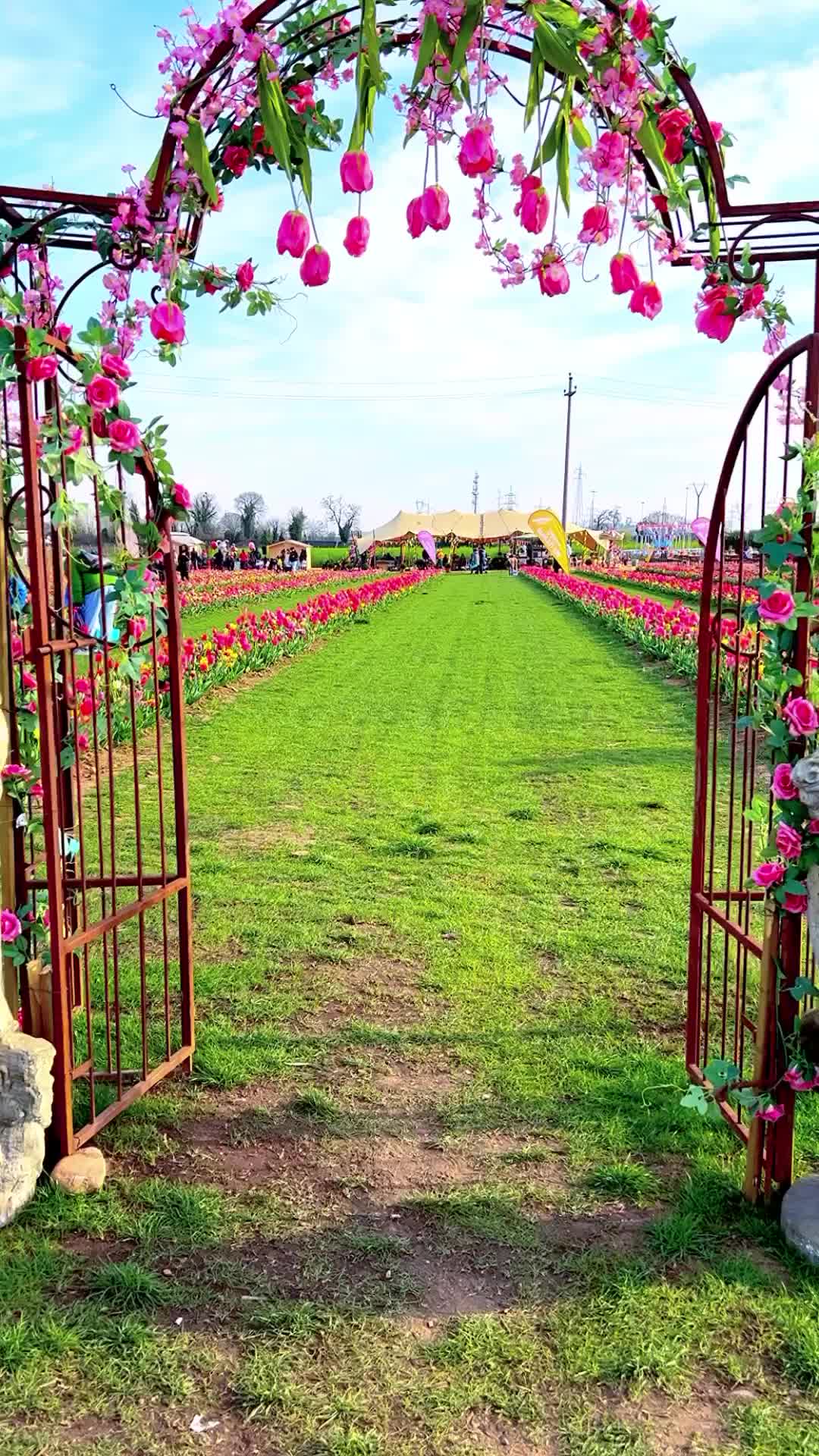 Tulipani in Veneto: Visita la Flover Farm a Bussolengo