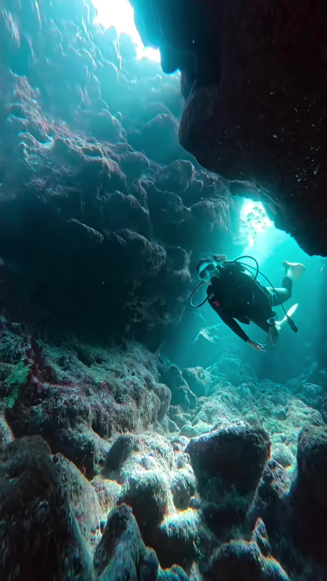 Diving Adventure in Miyakojima: Explore Okinawa's Blue Seas