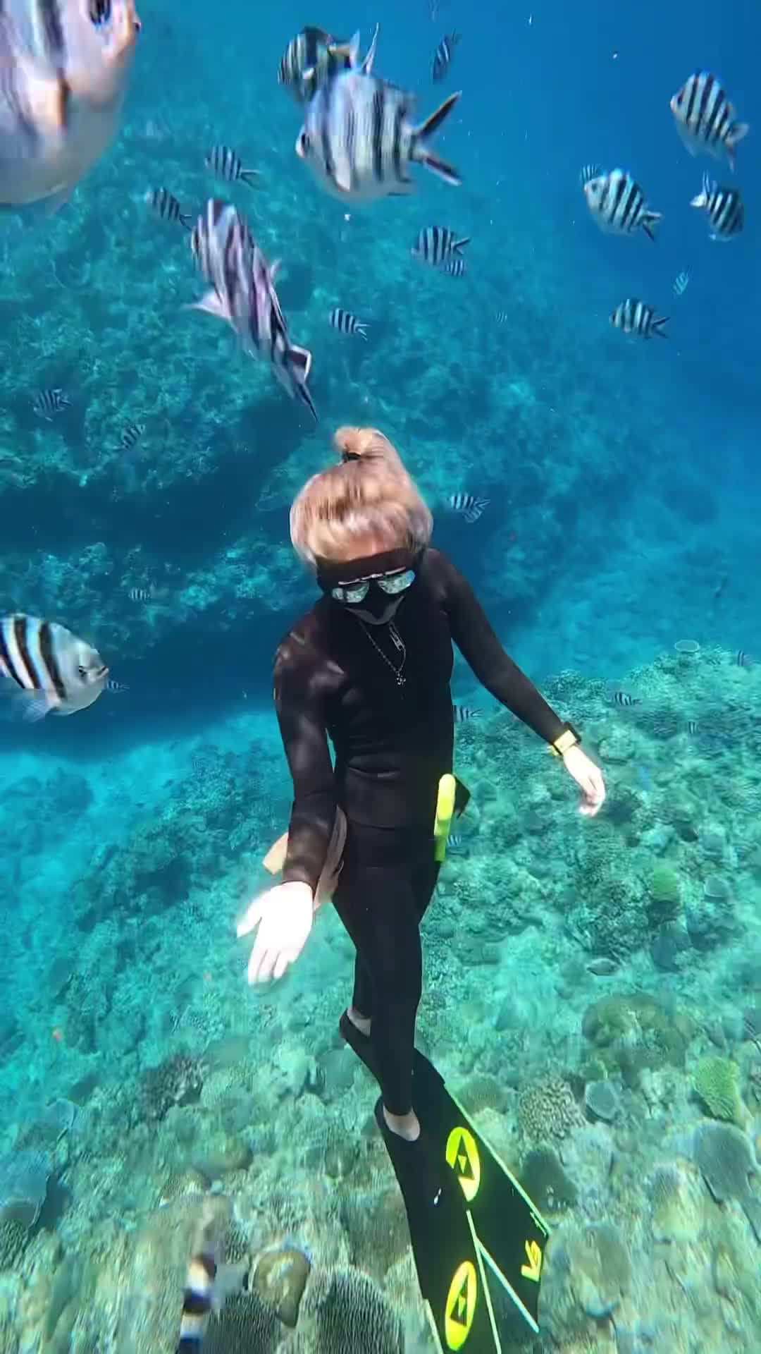 Joyful Dive with Fish in Okinawa's Coral Reefs