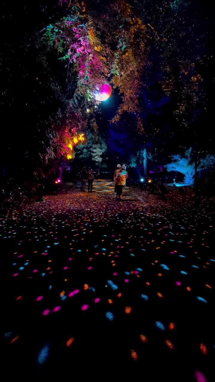Stunning Christmas Lights Display at LA Arboretum