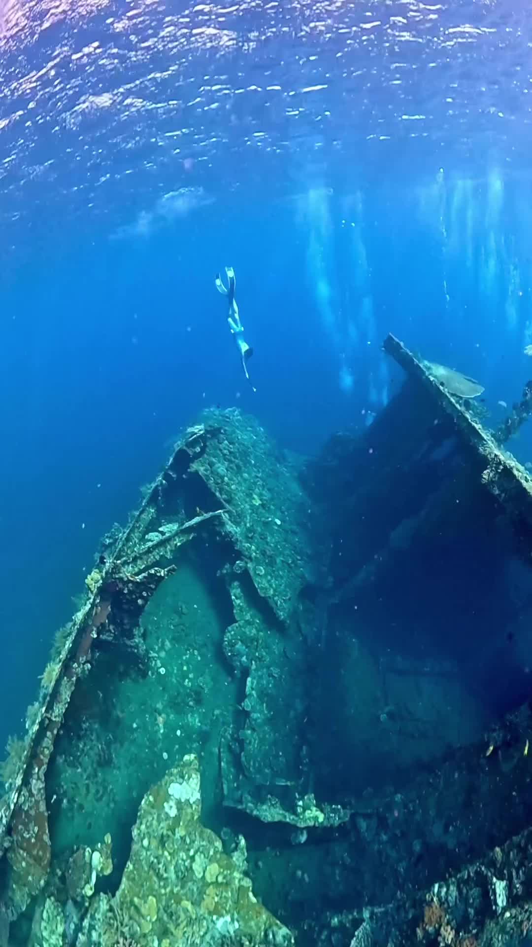 USAT Liberty Shipwreck in Crystal Clear Tulamben Waters