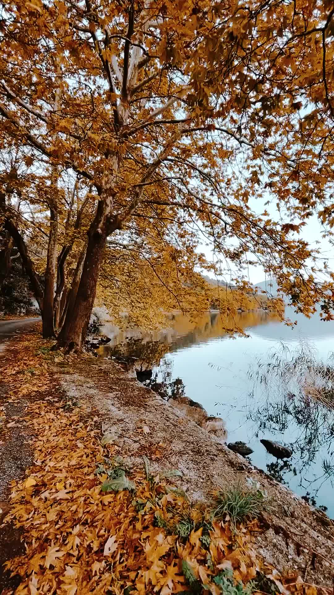 Discover Kastoria: Greece's Autumn Paradise