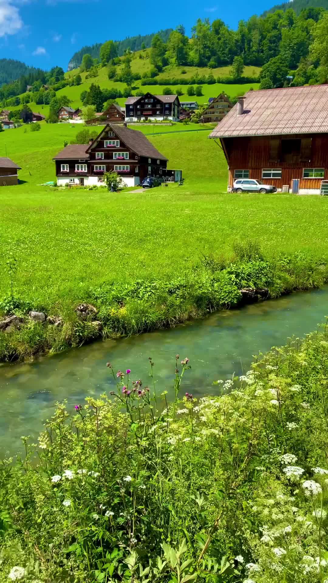 Flower Season in Toggenburg, Switzerland: July Guide