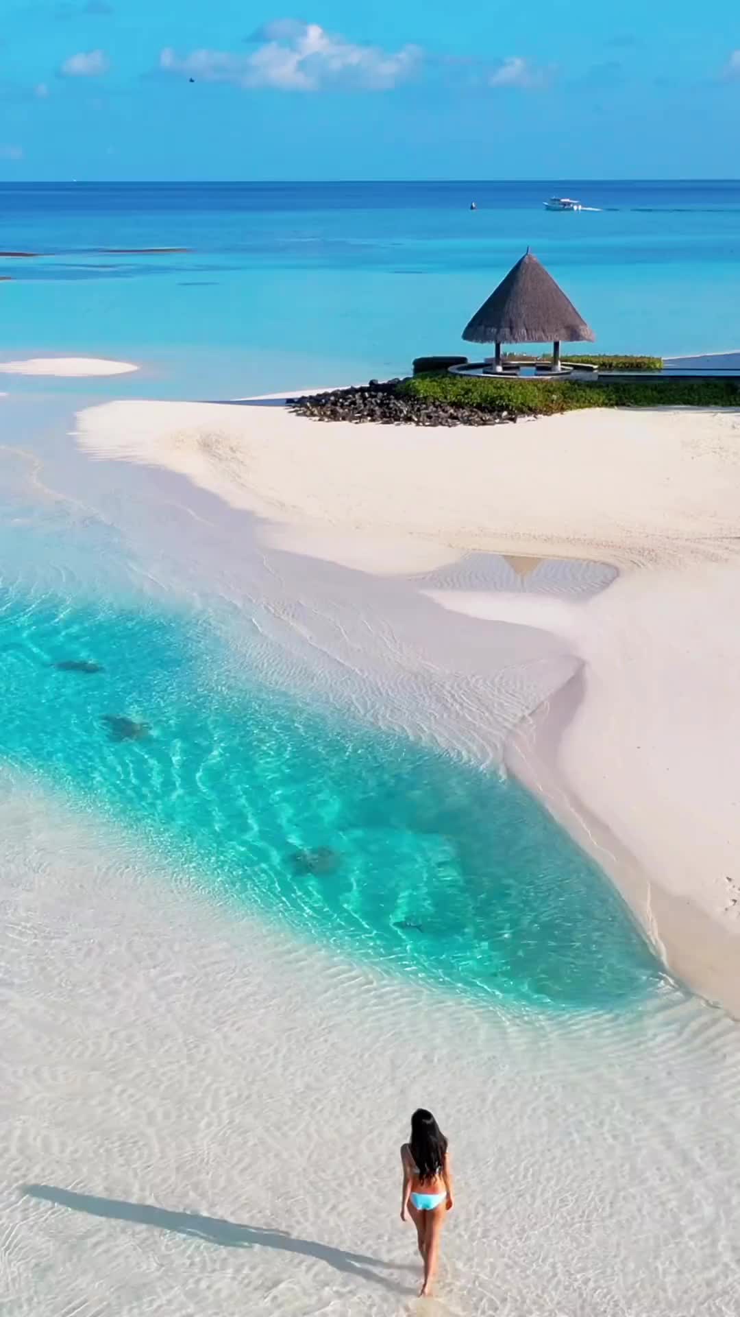this place is absolute gem💧💎 always gonna be one of my favorite islands ♥️ 📍Four Seasons Kuda Huraa 
.

#weekendvibes #islandgirl #islandlife #beachesnresorts #beachlover #darlingescapes #maldives #summerlove