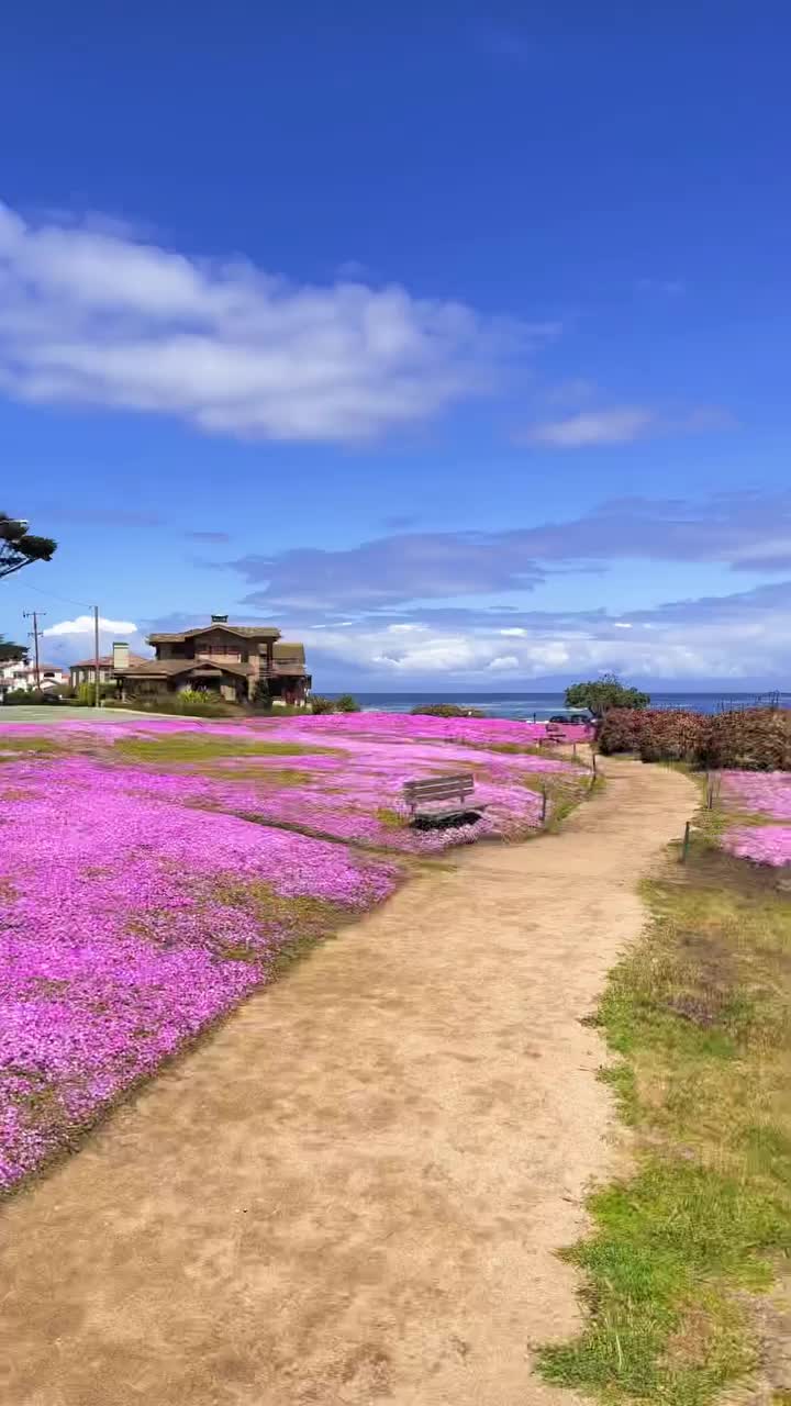 Discover the Beauty of Pacific Grove, California