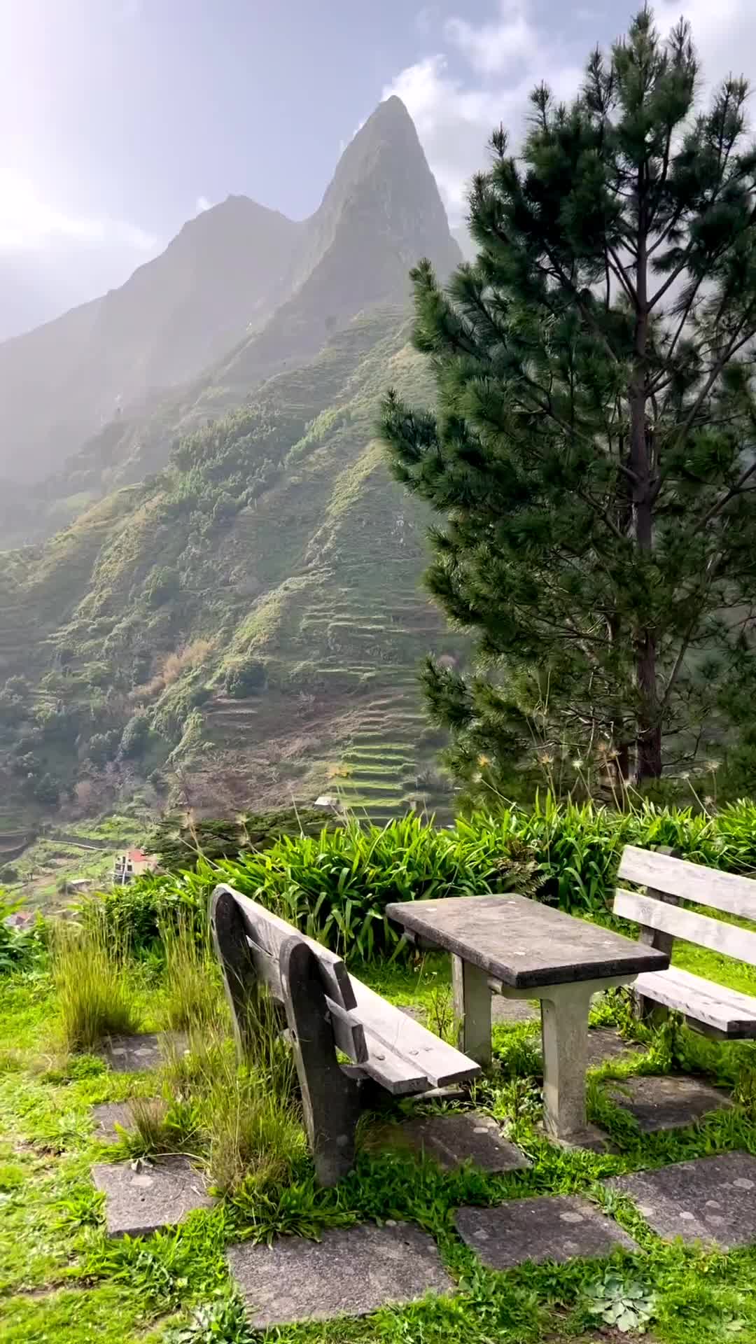 📍Miradouro Pico da Murta, Madeira, Portugal 🇵🇹 

You might won’t find any information about this viewpoint. It is not included in the list of popular spots on Madeira. 

I also haven’t heard anything about this place before, but just accidentally came across on the way back from Fanal to Funchal.

There is even no geolocation on Instagram to tag this place 😁 but you can definitely find it on Google Maps 🌍

I think Miradouro Pico da Murta is very unvalued. What do you think? Would you like to visit and admire these views? 

Bookmark and share with friends 😉

#planetopedia