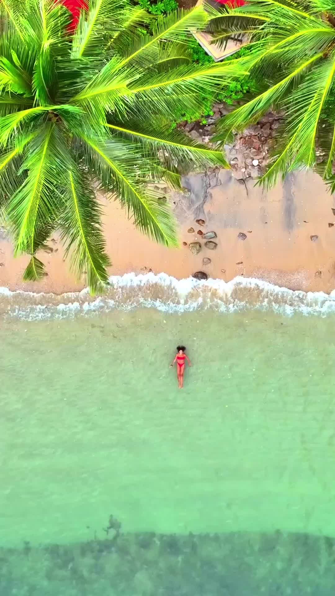 Lost yourself in the tropical vibes of Phuket 🇹🇭.
Tag someone you’d like share this beach with 🏝️.

📍 @amariphuket 
.
.
#amariphuket 
.
#phuket #thailand #phuketthailand #thailand🇹🇭 #luxurytravel #luxuryhotel #hotel  #traveltheworld #travelblogger #beach #dronevideo #tropical #paradiseisland