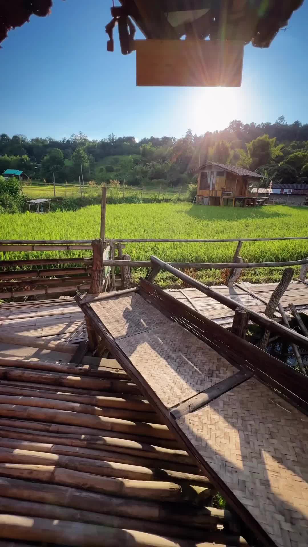 Morning Views of Mueang Khong, Thailand 🌅