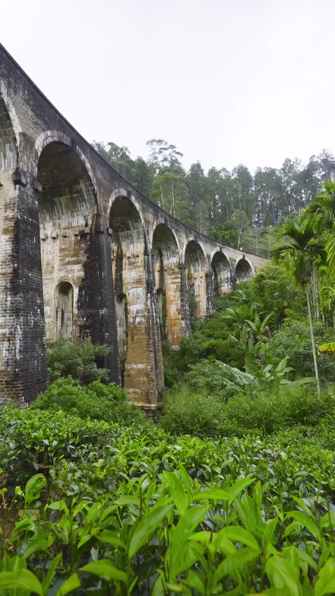 Feeling Free in Mind and Spirit | Nine Arch Bridge