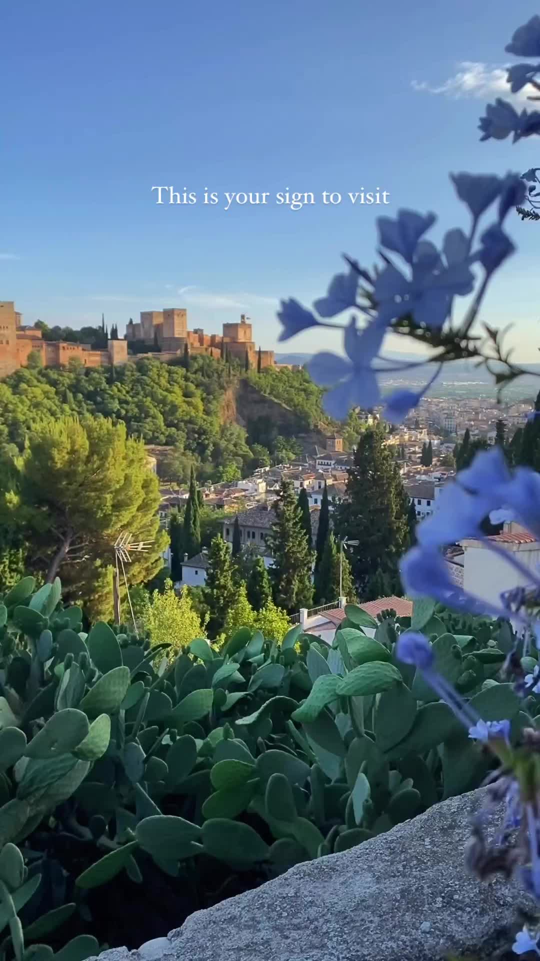 Follow @senses_of_spain for my new series of mini-guides on Granada for beginners 🇪🇸 (aka everything I wish I’d known before visiting!)

✅ Where to watch the sunset (and where NOT to…)
✅ Tips for visiting the Alhambra
✅ Tapas bars you can’t miss

And lots more! Coming 🔜 

#granada #granadaturismo💜 #granadaspain #viveandalucia