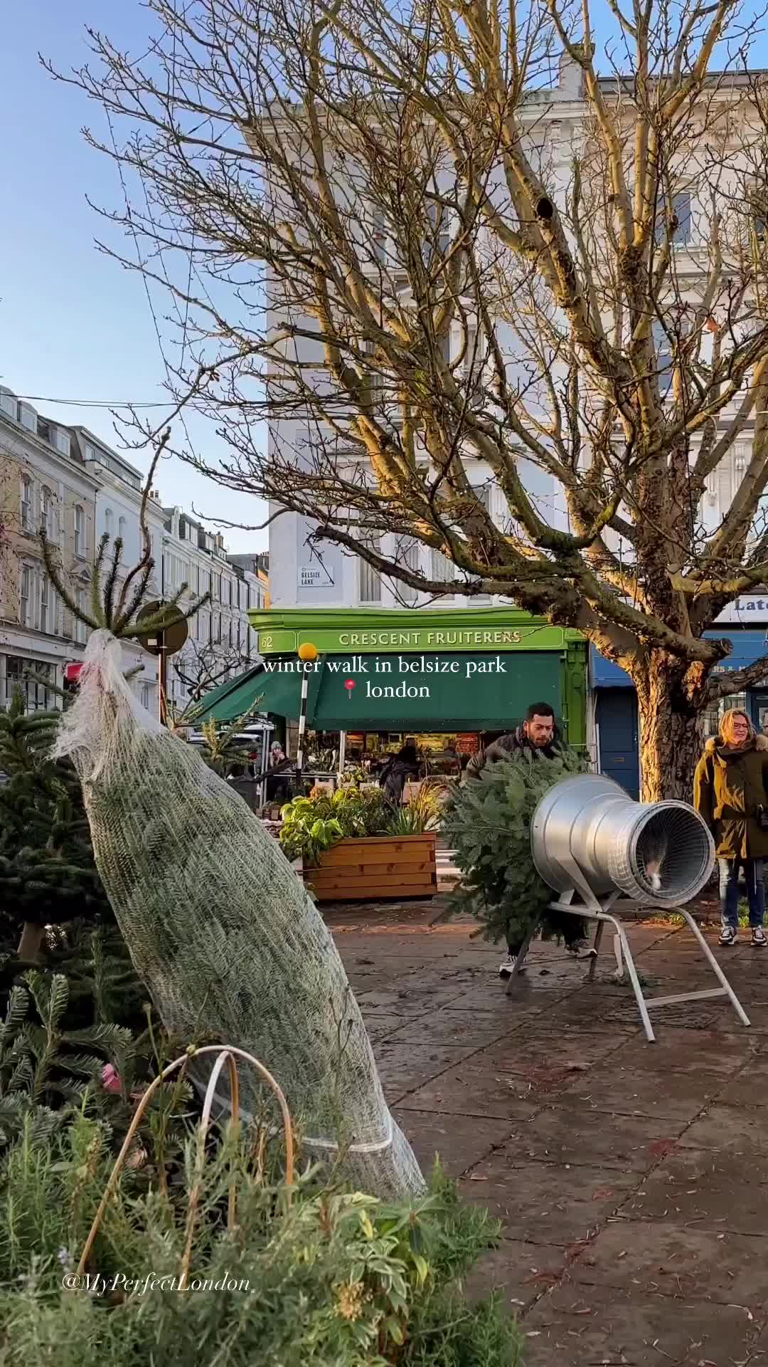 there is something so soothing about december walks 🌲☕️ #london 

🌲: @crescent_fruiterers 

☕️: @watchhouse